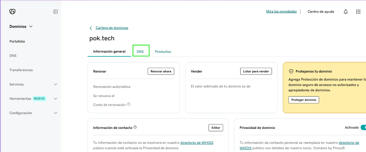 DNS option for the selected domain in GoDaddy