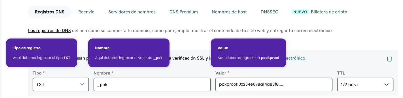 Formulario del registro TXT con el nombre _pok y la POK proof como valor